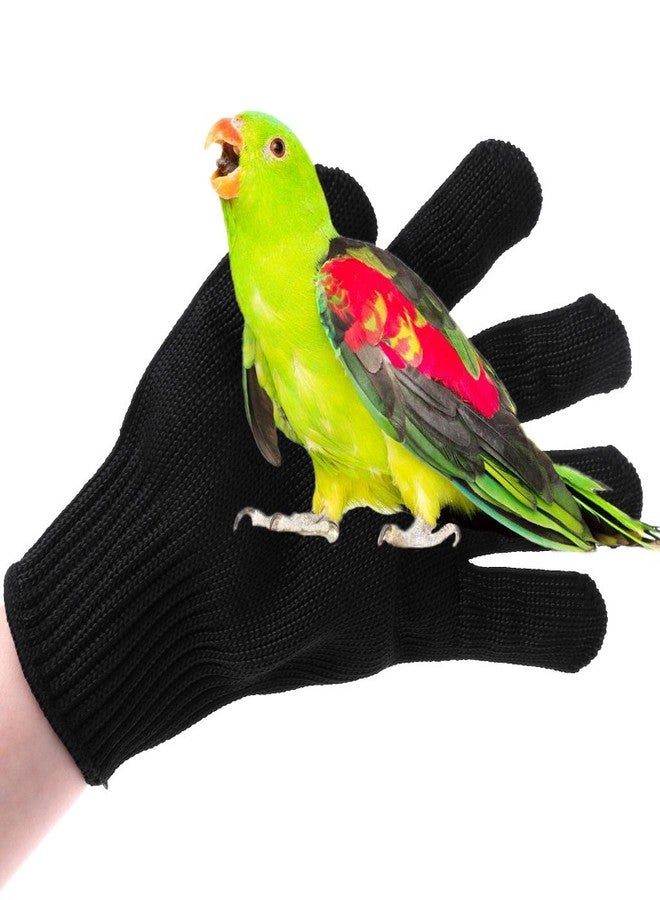 JAGTRADE Anti -Bite Glove Bird Training Anti-Bite Glove Safety Working Protect from Parrot Chewing for Small Animal Squirrel Hamster Cockatiel - Image 2